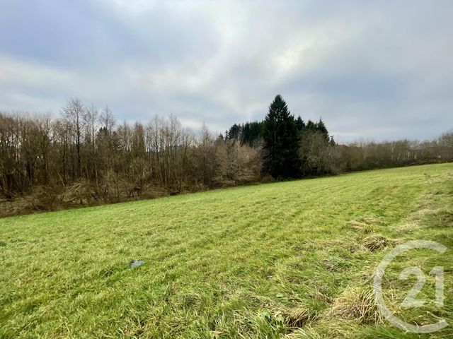 terrain à vendre - 4590.0 m2 - HADOL - 88 - LORRAINE - Century 21 Marion Et Colin